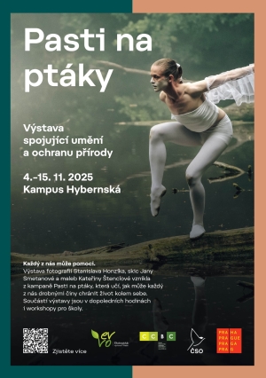 Výstava Pasti na ptáky