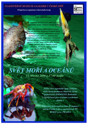 svetmoriaoceanuvystava