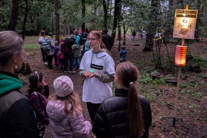 lesem_ke_hvezdam_lvicata_ilustrfoto