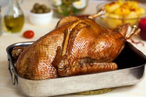 Svatomartinské vítání zimy