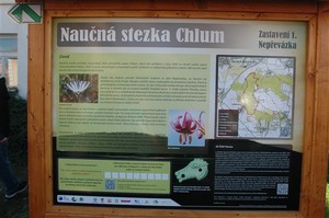 Naun stezka PP Chlum