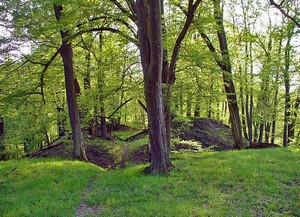 Zcenina hradu Jivno