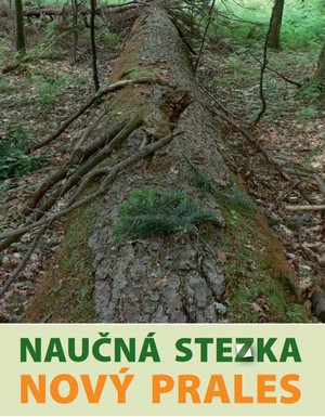 Naun stezka Nov prales