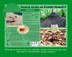 Naun stezka Zvolsk homole