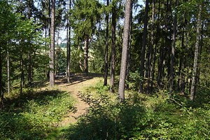 Zcenina hradu Kyjov