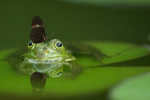 Naun stezka Putovn po vodnch plochch