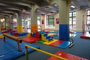 The little gym